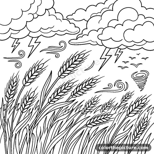 Wheat Field Swaying in the Wind Before a Storm coloring page