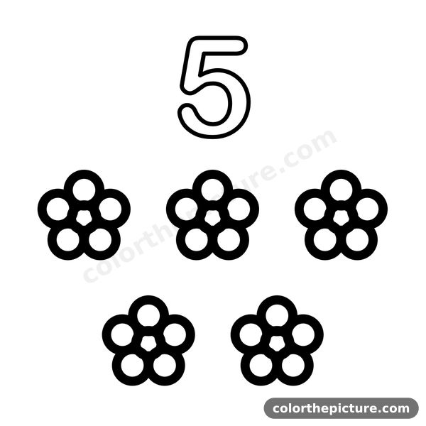 Number 5 and 5 lovely flowers coloring page