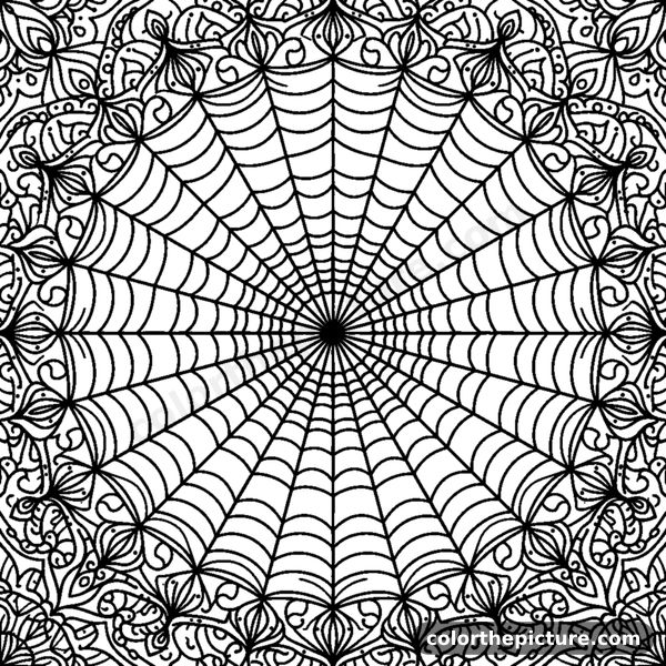 Fine-Lined Spiderweb Mandala coloring page
