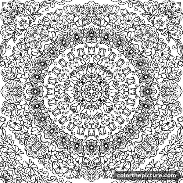 Floral Mandala of Tiny Blooming Flowers coloring page