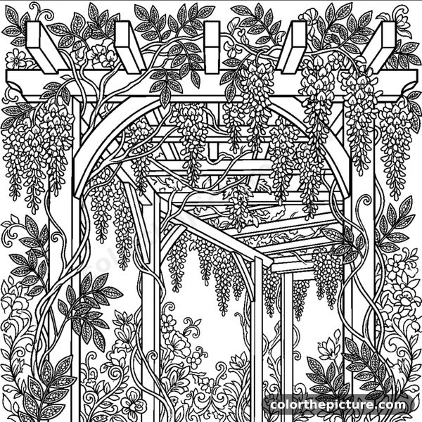 Pergola Arch with Hanging Wisteria coloring page