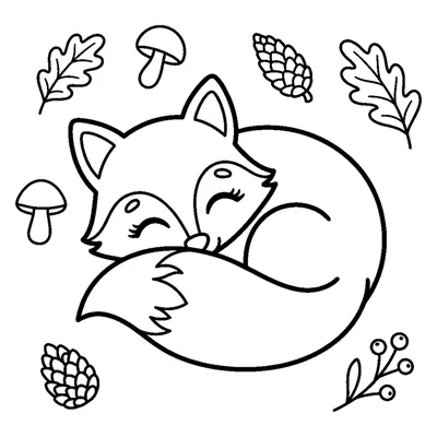 Fox curled up with a bushy tail