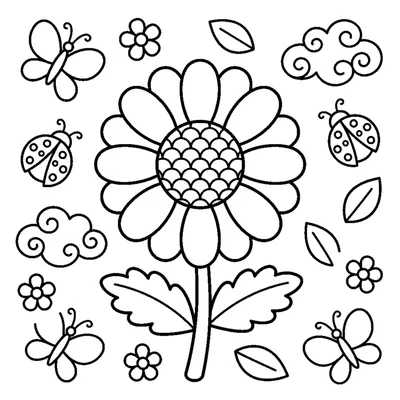 A daisy flower with round petals