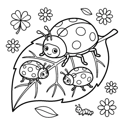 A ladybug family of a big one and two little ones on a big leaf