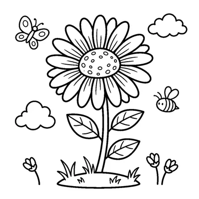 A wide-open daisy with many thin petals around a round center, stem connected to the ground