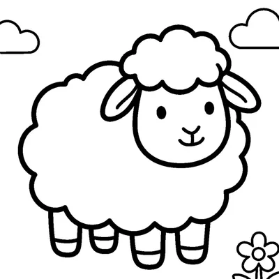 Fluffy white sheep