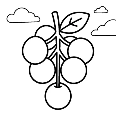 A purple bunch of grapes hanging on a vine