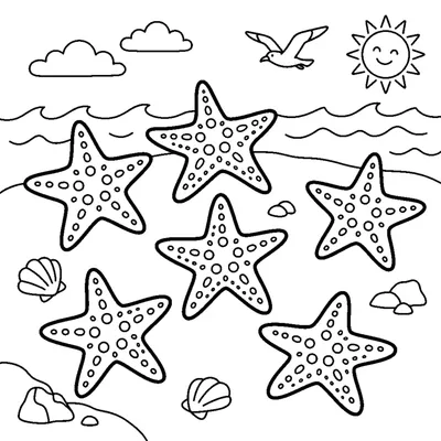 Count the 6 starfish at the seaside