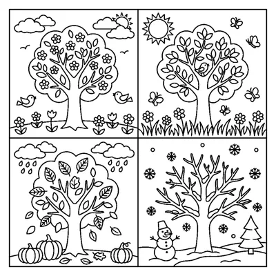 The same tree in four seasons, side by side