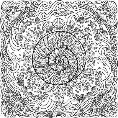Seashell Spiral Mandala